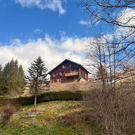 14pers - Jacuzzi&sauna - Chalet
